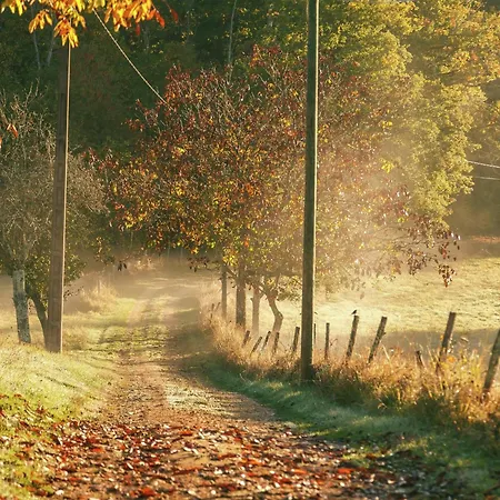 度假居 Forest Hideaway In Saint-caprais