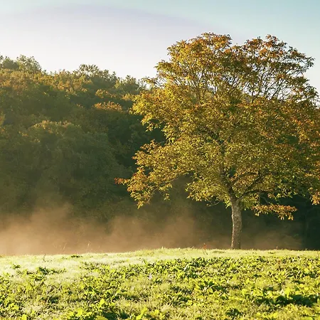 Forest Hideaway In Saint-caprais Prázdninový dům