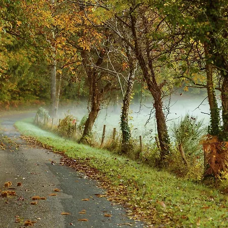 Forest Hideaway In Saint-caprais