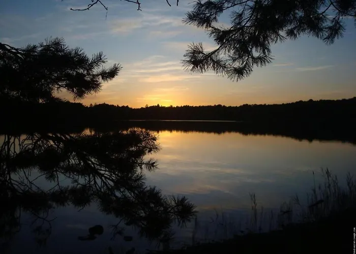 بيت للعطل Forest Hideaway In Saint-caprais Saint-Caprais (Lot)