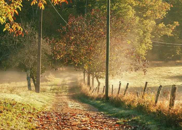 بيت للعطل Forest Hideaway In Saint-caprais