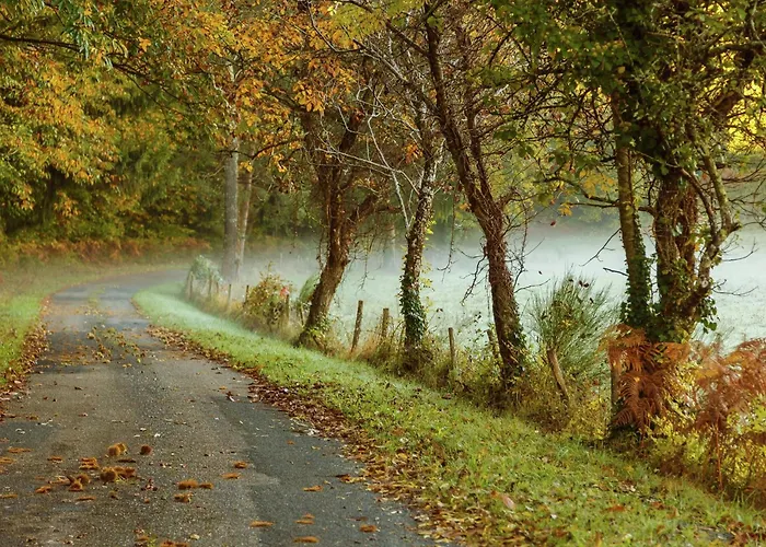 Forest Hideaway In Saint-caprais