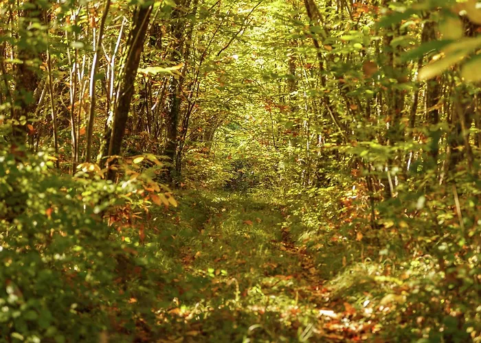 Forest Hideaway In Saint-caprais بيت للعطل